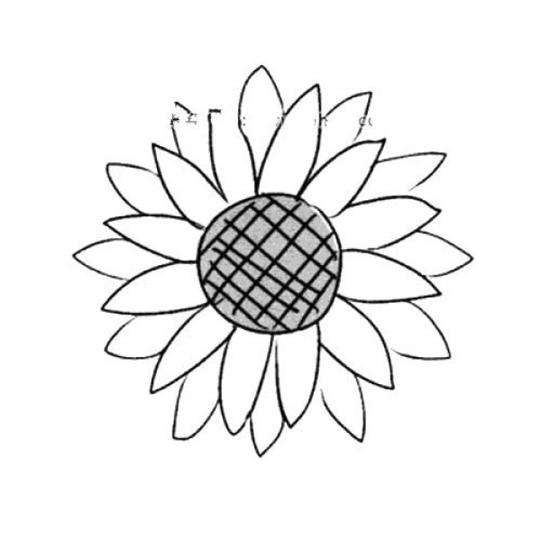 Autumn Flowers Sunflower Simple Drawing Tutorial