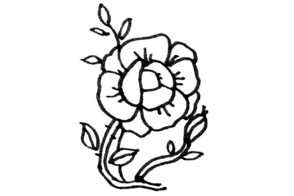 Various ways to draw roses