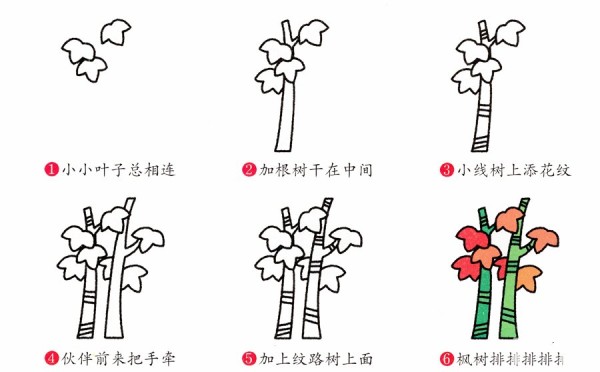 How to draw maple tree in simple strokes