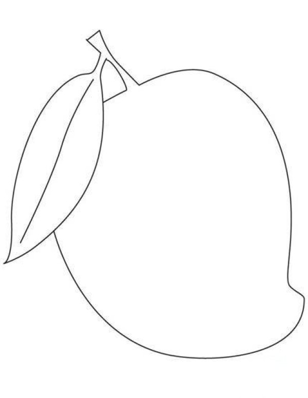 Hand drawn simple picture of mango with leaves