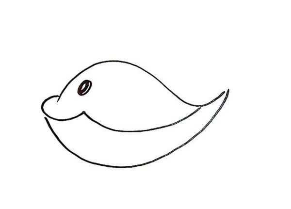 Simple whale drawing tutorial