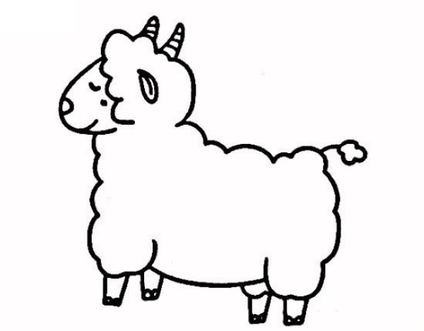 Teach you how to draw a sheep