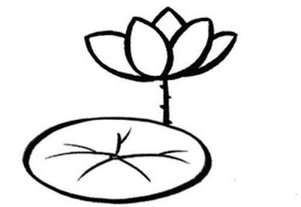 Small class simple drawing lesson plan beautiful lotus