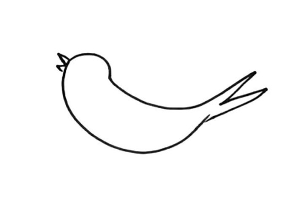 Learn to draw swallows