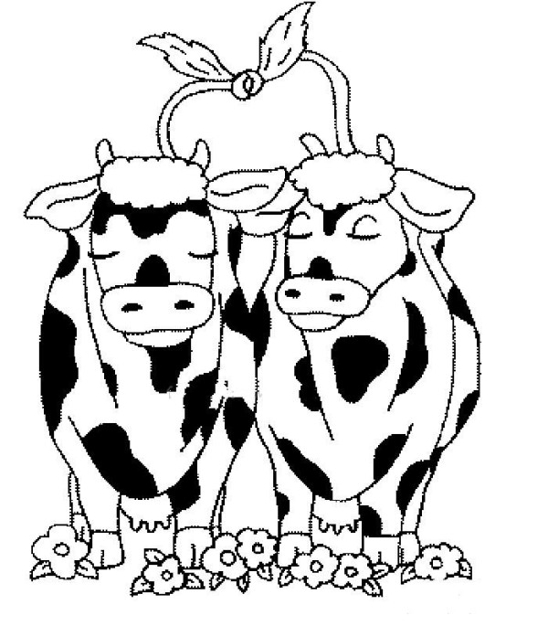 Simple drawing of loving cows