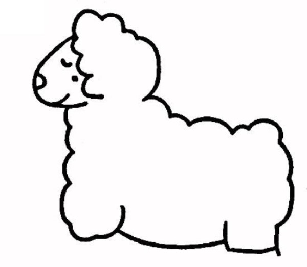 Teach you how to draw a sheep