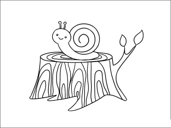 Simple drawing of snail on the tree