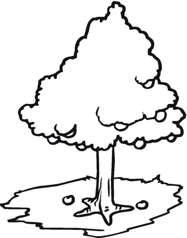 How to draw apple tree with simple strokes