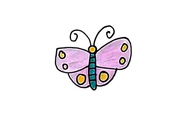 small butterfly