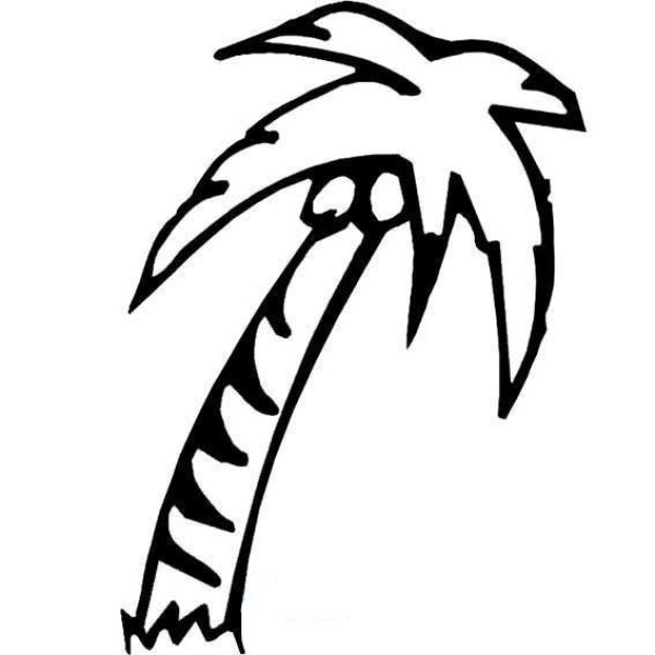 Simple drawing of coconut tree in midsummer