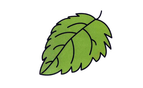 How to draw a small green leaf in simple strokes