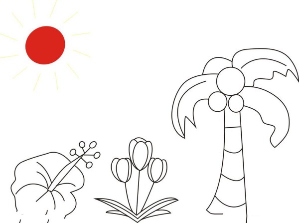 Coconut Tree Tulip Simple Drawing