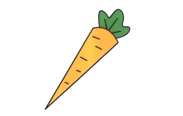 Sharing how to draw cartoon carrots in simple strokes