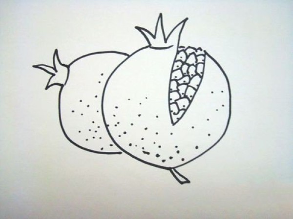 Simple drawing method of pomegranate