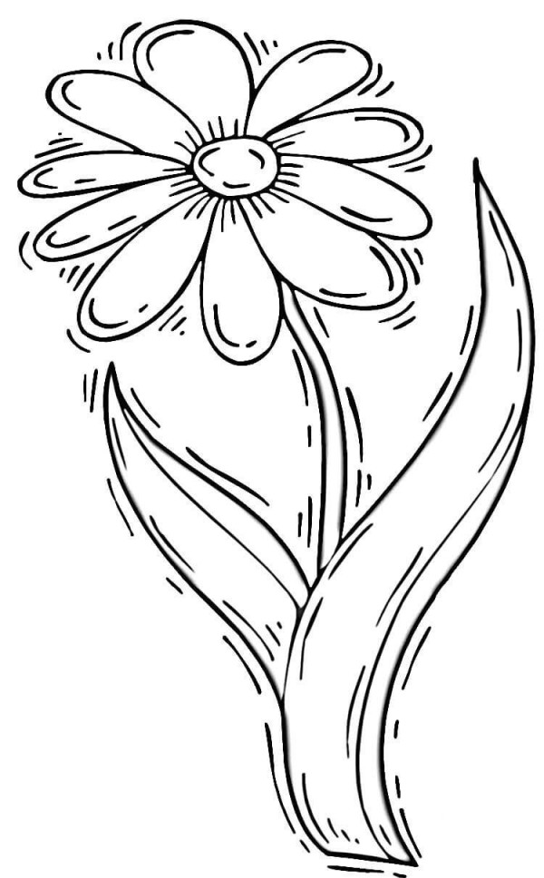 Simple chrysanthemum drawing method