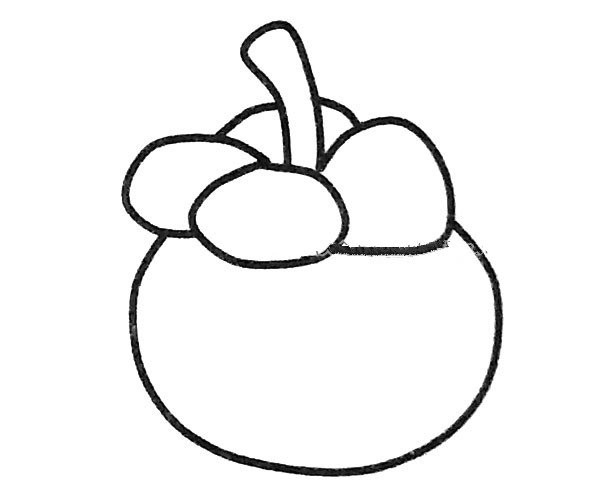 Six beautiful simple drawing pictures of mangosteen