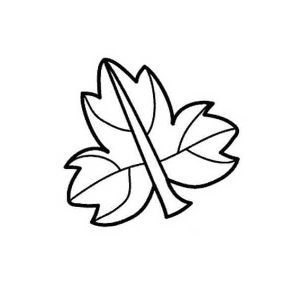 Simple drawing of plants About simple drawing pictures of leaves