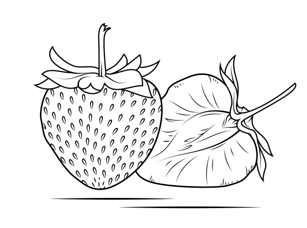 How to draw the cut surface of a strawberry