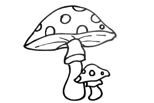 How to draw cute mushrooms