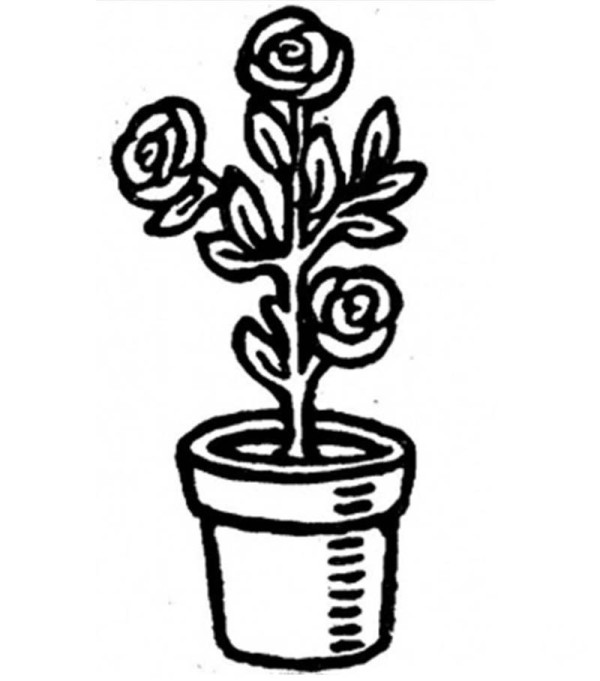 Simple drawing picture of roses in flower pot