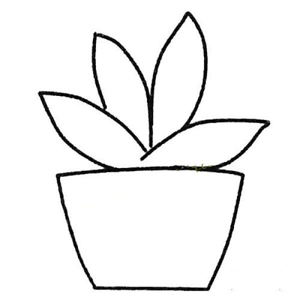 Simple drawing tutorial of succulents