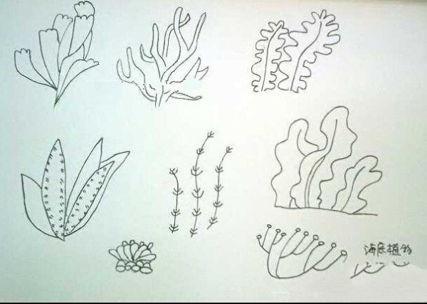 undersea plants