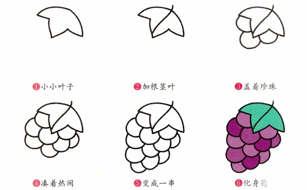 How to draw grapes in simple strokes