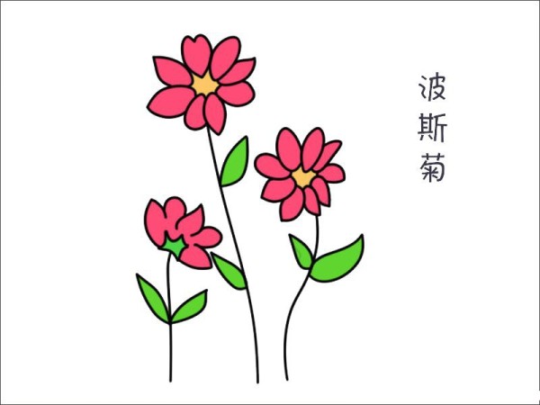 Cosmos flower simple strokes