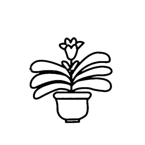 Simple drawing of flowers in a flowerpot