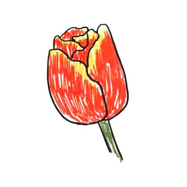 Draw a small flower for yourself Tulips