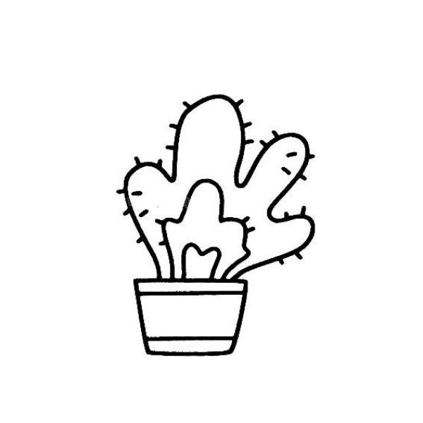 Simple drawing of cactus in flower pot