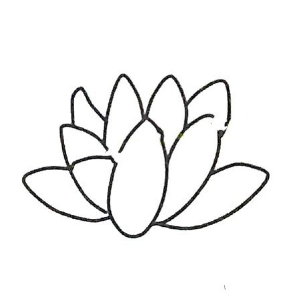 6 beautiful lotus simple drawing pictures