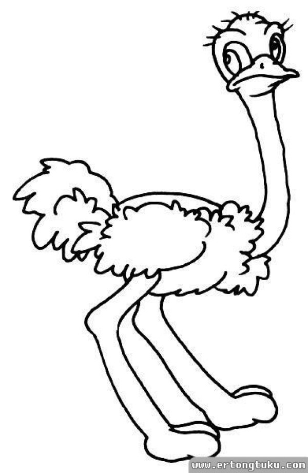 Cartoon ostrich simple drawing tutorial