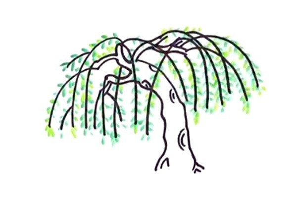 How to draw a willow tree in simple strokes