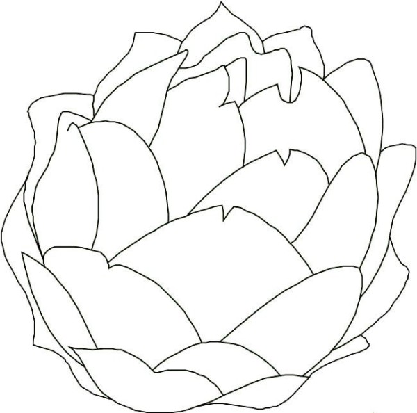 Complete collection of simple drawings of vegetables, simple drawings of cabbage and cabbage