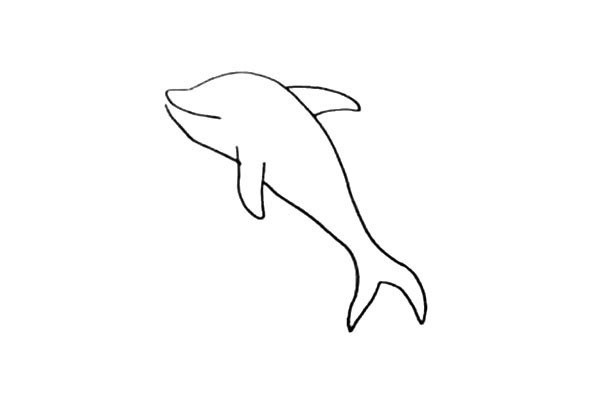 How to draw a dolphin