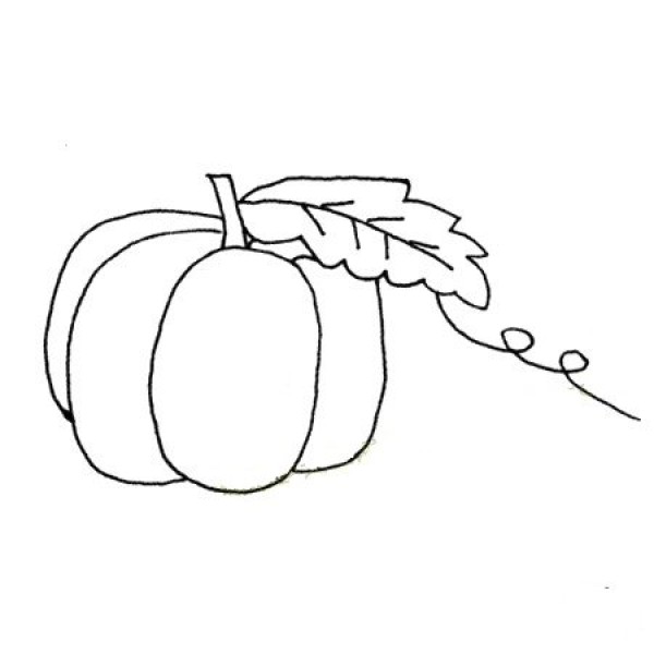 A set of simple vegetable sketch pictures