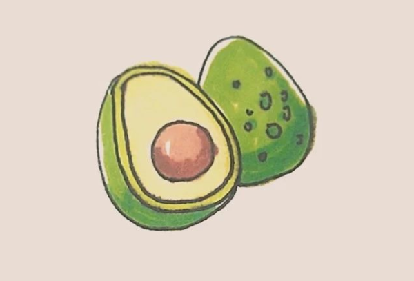 Simple drawing of avocado