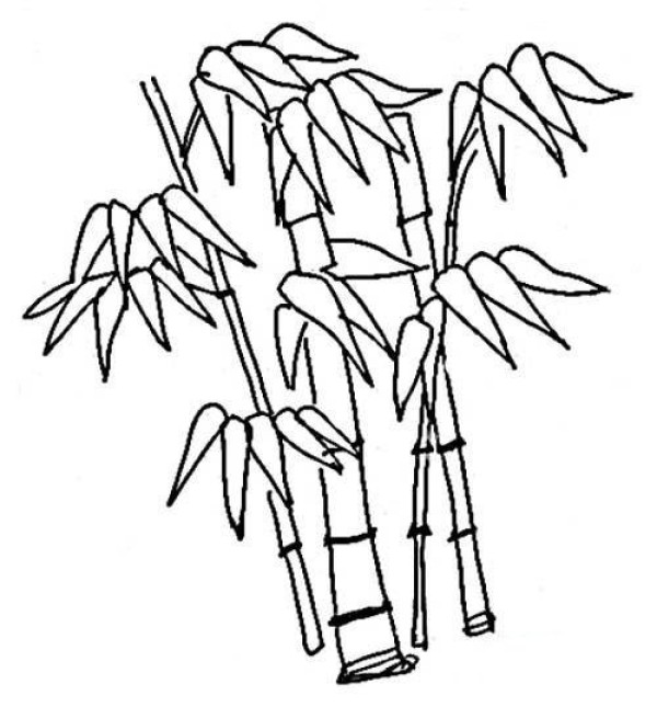 Childrens simple drawing pictures of bamboo