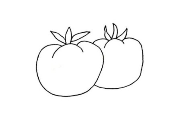 Simple plant drawings, simple drawings of tomatoes