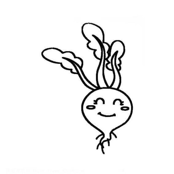 Cartoon simple drawing of radish