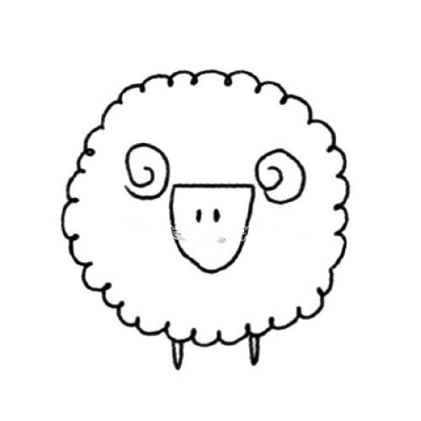 animals on the grassland sheep