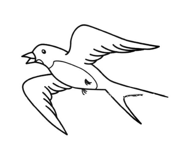 Simple drawing picture of flying swallow