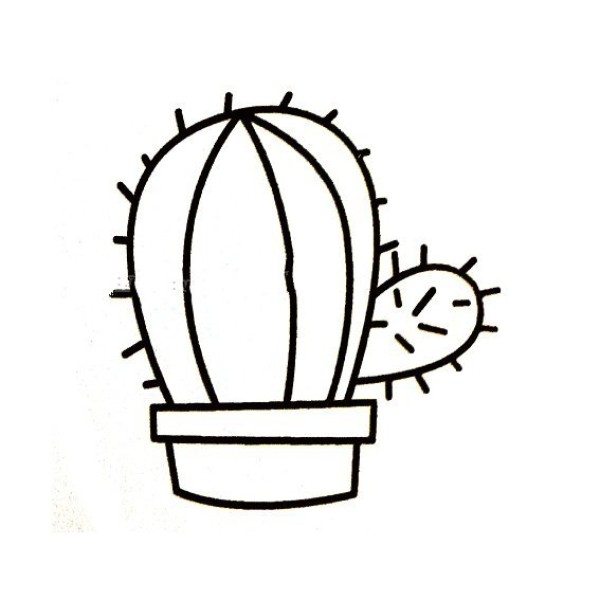 Simple drawing of cactus potted plant