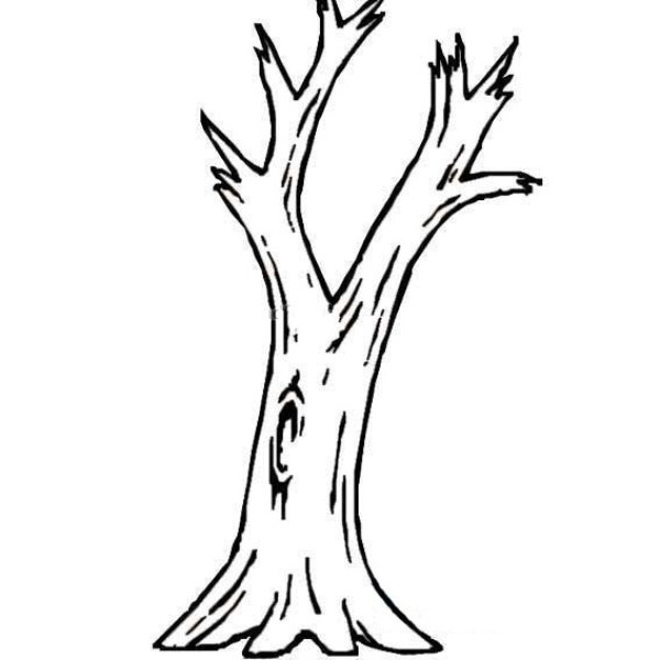 Simple drawing of big tree trunk