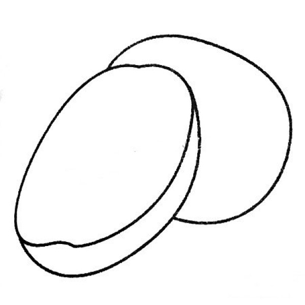 Complete collection of simple strokes of kiwi fruit and drawing steps