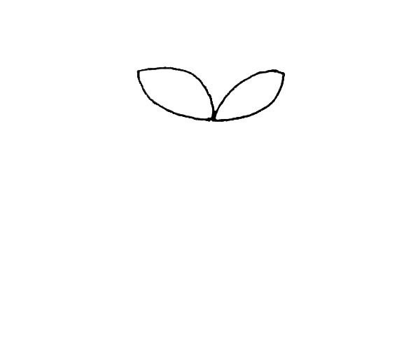 Children learn to draw lotus easily