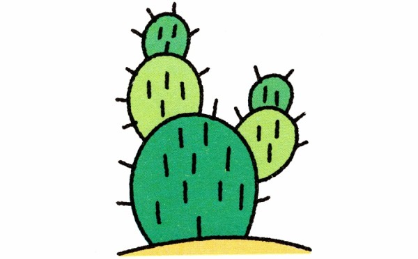 Desert cactus simple drawing steps