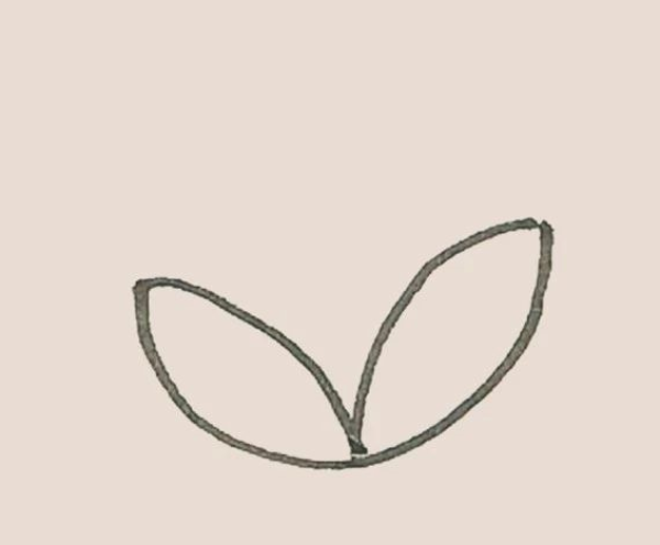 Simple strokes of calla lily