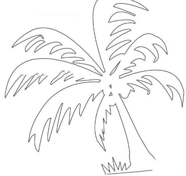 Super simple coconut tree drawing